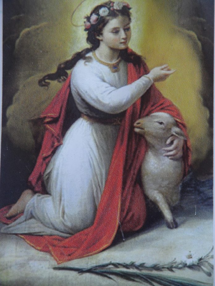 Santa Inés Virgen Y Mártir Heraldossv